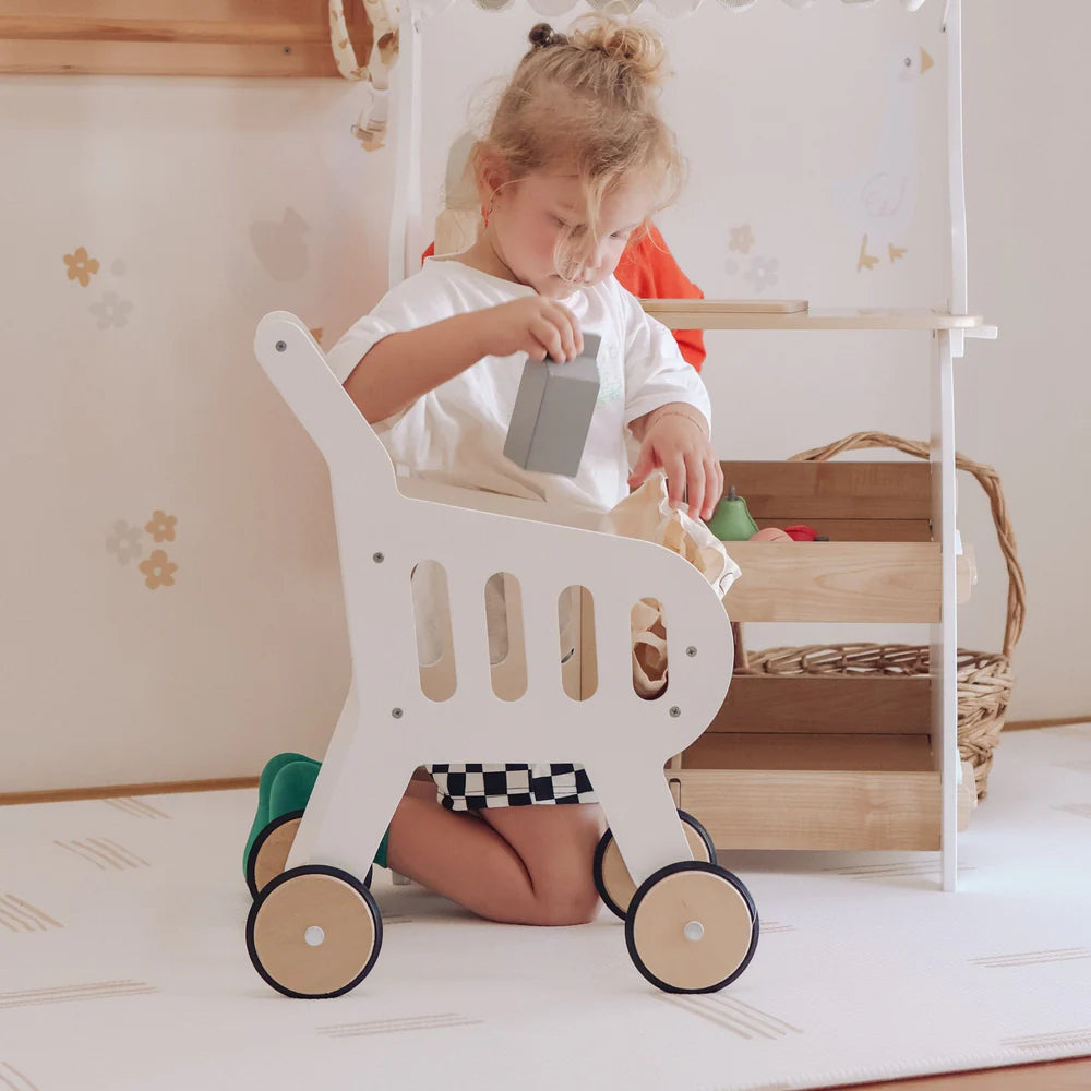 Shopping Grocery Trolley & Bag