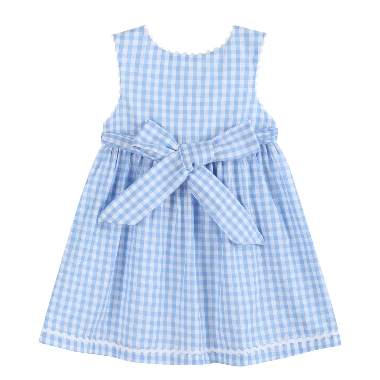 Blue Gingham Goose A Line Dress