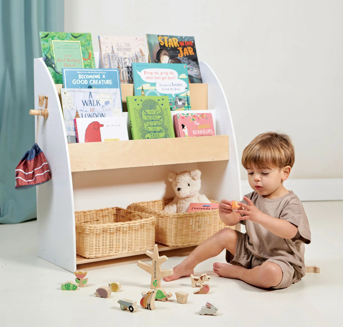 Forest Book Case