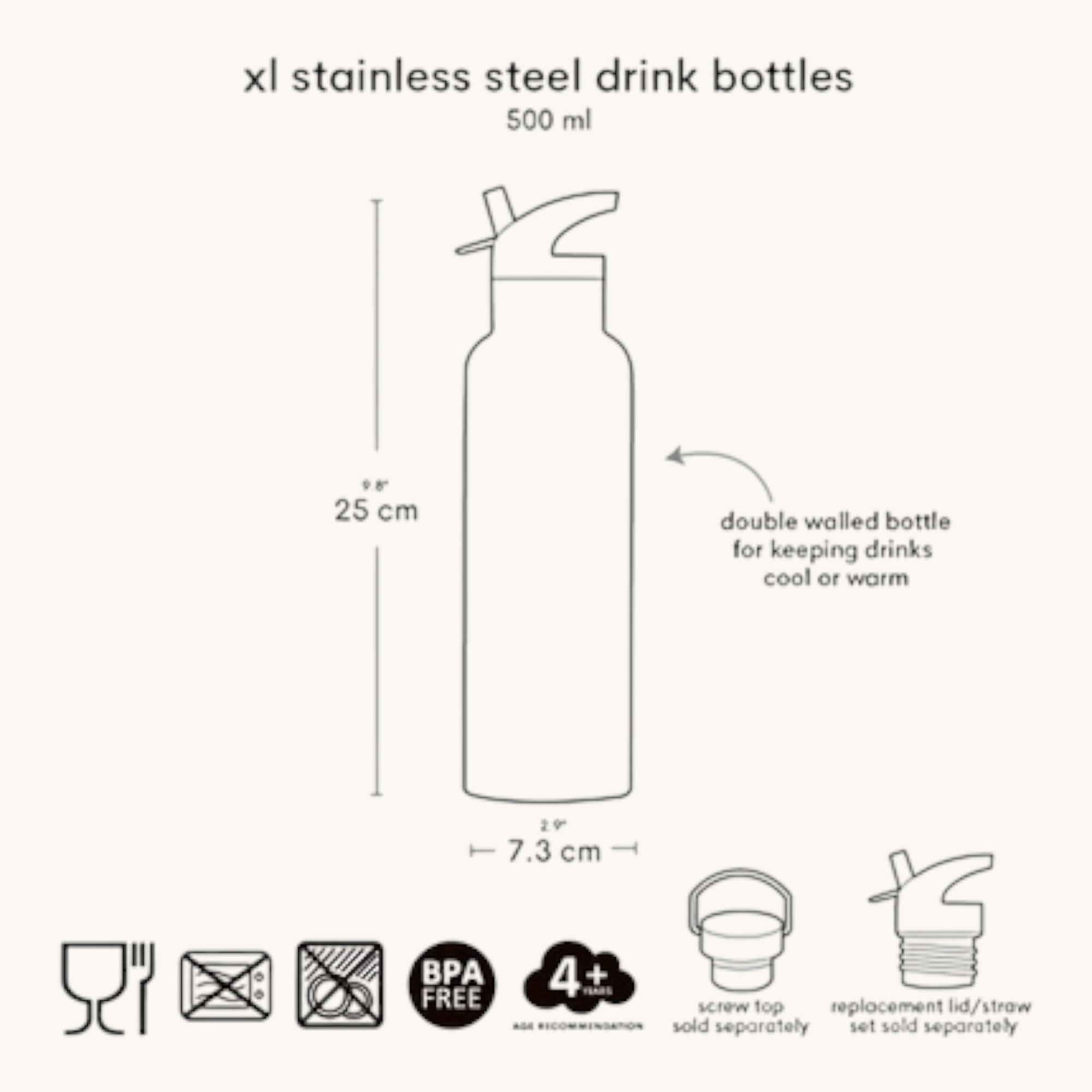 Stainless steel drink bottle: PRINCESSES