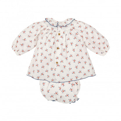 Jesusito Colección Valle