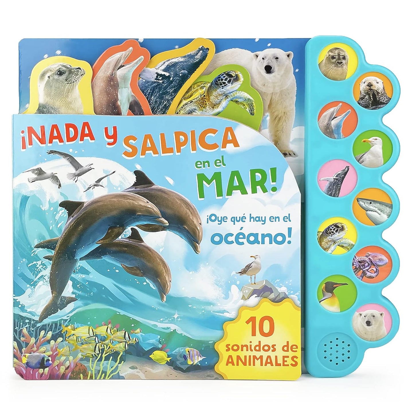 ¡Nada y Salpica en el Mar!