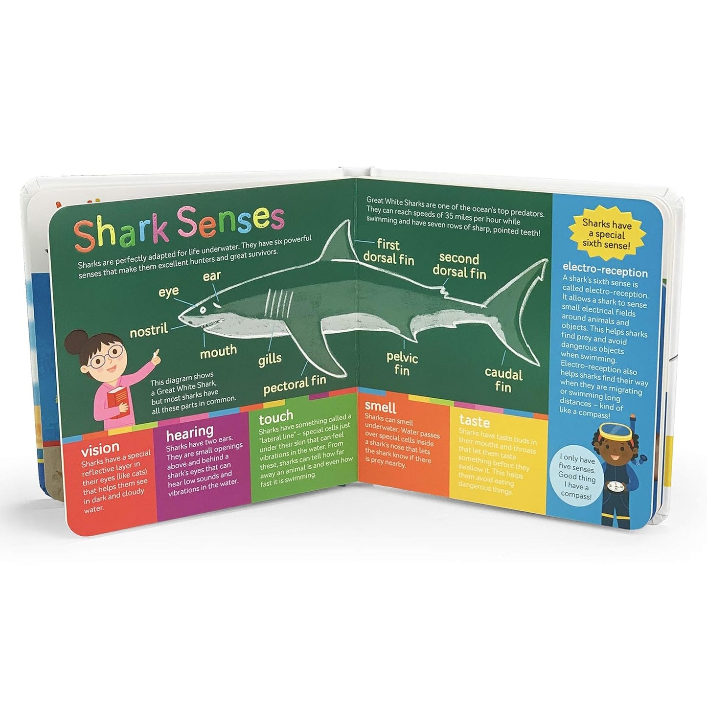 Smithsonian Kids Sharks