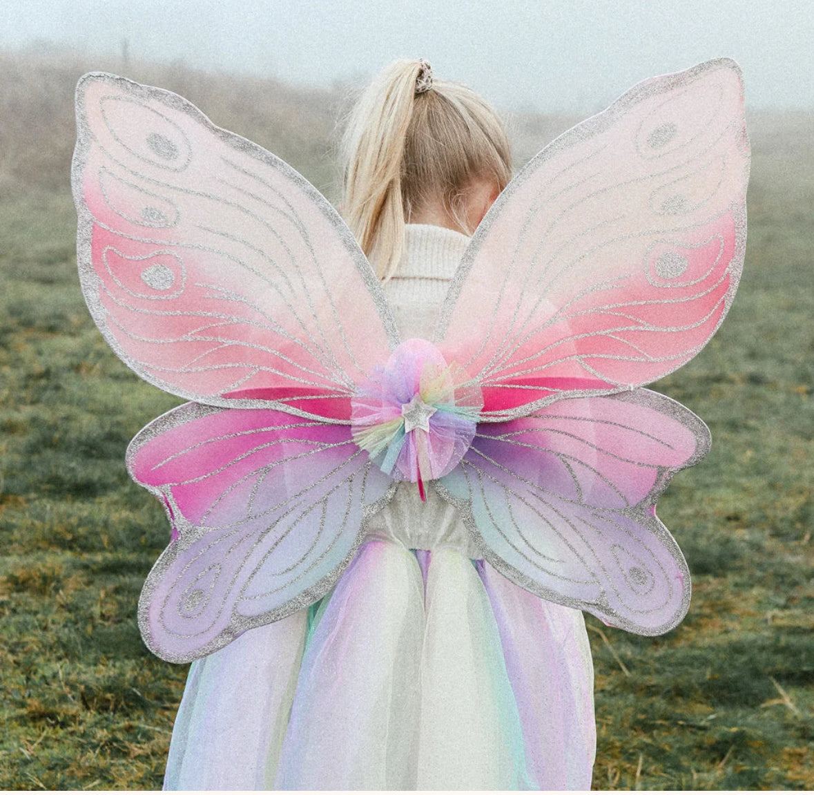 Carlina Fairy Costume–Skirt and Wings Set 3-5 yrs
