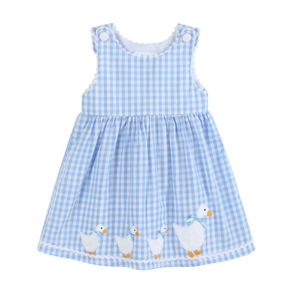 Blue Gingham Goose A Line Dress