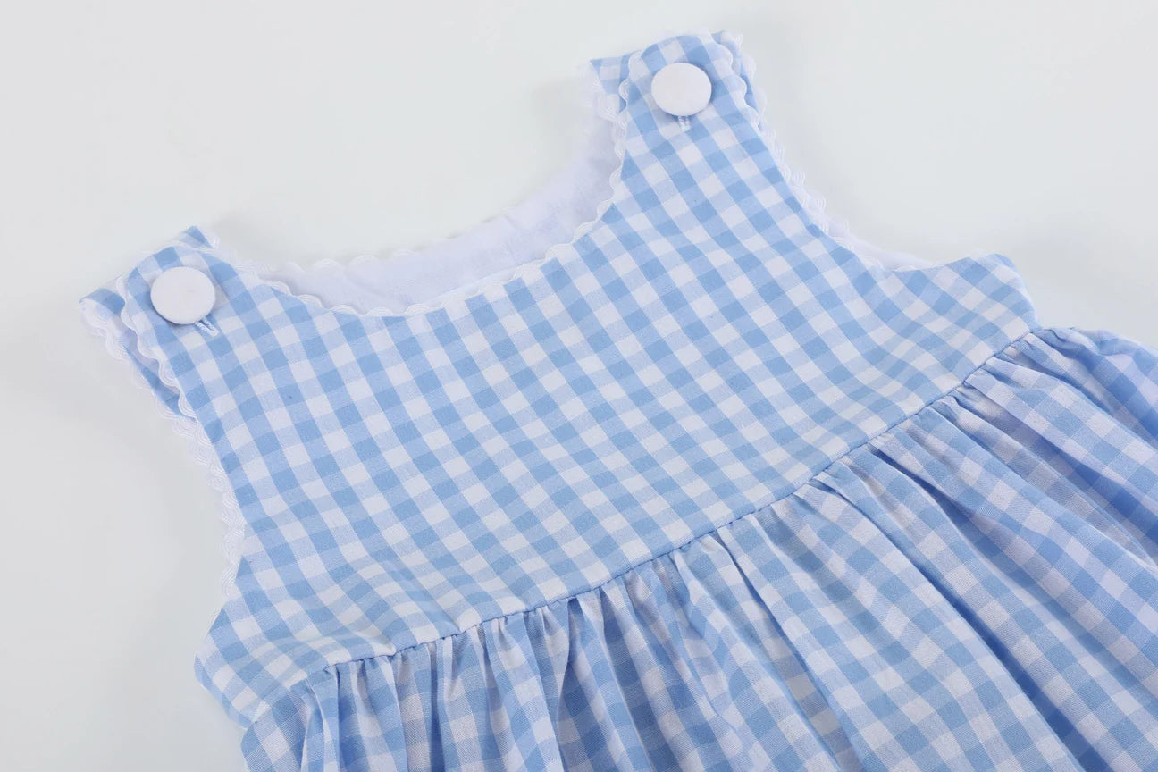 Blue Gingham Goose A Line Dress