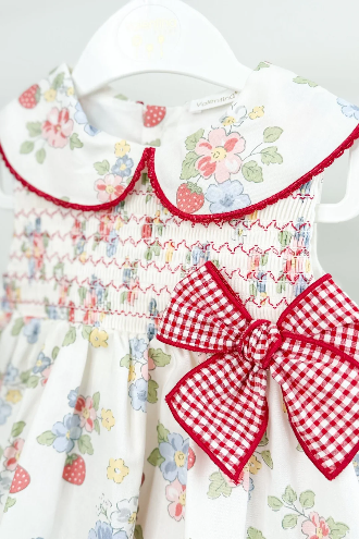 Red Floral Strawberry Dress & Bloomers